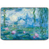 Waterlilies, 1916-19 by Monet HP Chromebook Skin