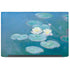 Waterlilies, Evening by Monet Dell Latitude Skin