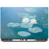 Waterlilies, Evening by Monet Dell Precision Skin