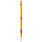 West Virginia University Mountaineers Apple Pencil (1st Gen, 2017) Skin