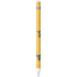 West Virginia University Mountaineers Apple Pencil (1st Gen, 2017) Skin