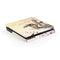 Where The Wind Takes You by Amy Brown PS4 Slim Skin