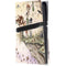Where The Wind Takes You by Amy Brown PS5 Pro Disk Console Skin