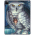 White Owl by Ed Beard Jr iPad Pro 11in (2024) Clear Case