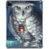 White Owl by Ed Beard Jr iPad Cases