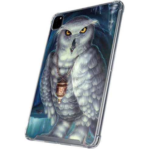 White Owl by Ed Beard Jr iPad Cases