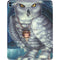 White Owl by Ed Beard Jr iPad Pro 13in M4 (2024) Skin