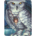 White Owl by Ed Beard Jr iPad Pro 13in M4 (2024) Skin