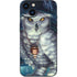 White Owl by Ed Beard Jr iPhone Skins