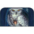 White Owl by Ed Beard Jr Nintendo Switch 2 (2025) with Joy-Con Skin