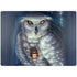 White Owl by Ed Beard Jr Surface Laptop 7 13.8in Skin