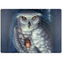 White Owl by Ed Beard Jr Surface Laptop 7 15in Skin