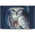 White Owl by Ed Beard Jr Dell XPS Skin