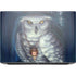 White Owl by Ed Beard Jr HP ZBook Fury 16 G10 Skin