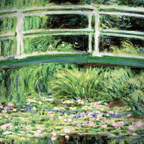 White Waterlilies, 1899 by Monet Moto G6 Skin