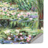 White Waterlilies, 1899 by Monet PS5 Pro Console Skin