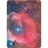 Widefield View of Orion Nebula and Horsehead Nebula Apple iPad Air Skin