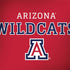 University of Arizona Wildcats Red Dell Latitude Skin