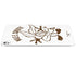 Looney Tunes Wile E Coyote Big Head iPad Pro 13in M4 (2024) Skin