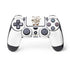 Looney Tunes Wile E Coyote Big Head PlayStation PS4 Skins