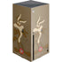 Looney Tunes Wile E Coyote Double Xbox Series X Skins