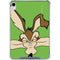 Looney Tunes Wile E Coyote Zoomed In iPad 11th Gen (2025) Clear Case