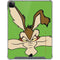 Looney Tunes Wile E Coyote Zoomed In iPad Cases