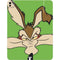 Looney Tunes Wile E Coyote Zoomed In iPad Pro 13in M4 (2024) Skin