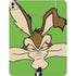 Looney Tunes Wile E Coyote Zoomed In iPad Pro 13in M4 (2024) Skin