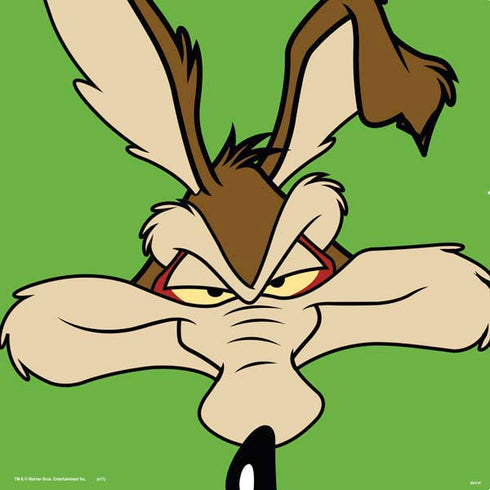 Looney Tunes Wile E Coyote Zoomed In PS4 Console and Controller Bundle Skin