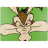 Looney Tunes Wile E Coyote Zoomed In Surface Laptop 7 13.8in Skin