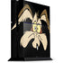 Looney Tunes Wile E. Coyote PlayStation PS4 Skins