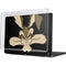 Looney Tunes Wile E. Coyote Smile MacBook Pro 14in (2021-24) Case plus Skin