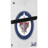 NHL Winnipeg Jets Distressed PS5 Pro Console Skin