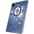 NHL Winnipeg Jets Frozen iPad Cases