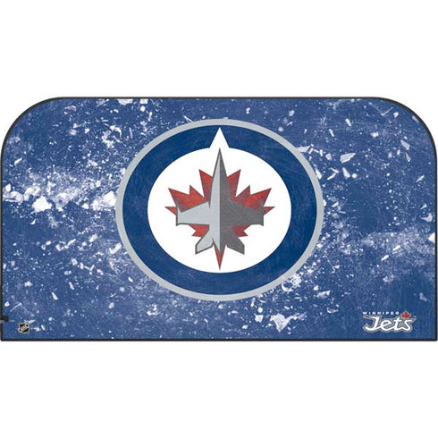 NHL Winnipeg Jets Frozen Nintendo Switch 2 (2025) with Joy-Con Skin