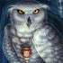White Owl by Ed Beard Jr Dell Latitude Skin
