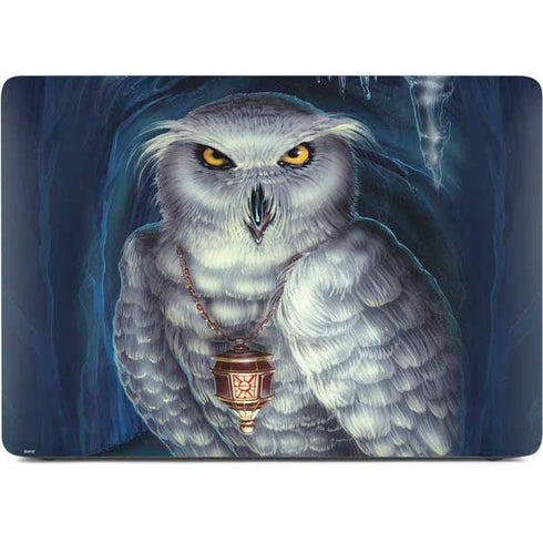 White Owl by Ed Beard Jr Apple MacBook Air Skin