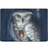 White Owl by Ed Beard Jr MacBook Skins
