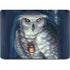White Owl by Ed Beard Jr Apple MacBook Pro 16-inch Skin