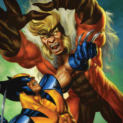 Marvel X-Men Wolverine Vs Sabretooth iPhone X Skin