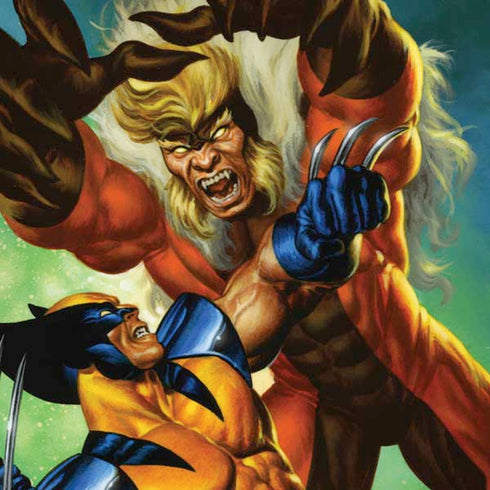 Marvel X-Men Wolverine Vs Sabretooth iPhone XR Skin
