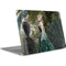 Woman with Peacocks by Nene Thomas Apple MacBook Air Skin