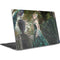 Woman with Peacocks by Nene Thomas Dell XPS Skin