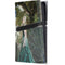Woman with Peacocks by Nene Thomas PS5 Pro Console Skin