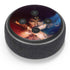 DC Comics Wonder Woman Profile Character Poster Amazon Echo Dot Skin