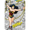 DC Comics Wonder Woman Classic Action Pose Apple iPad Mini Skin
