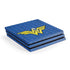 DC Comics Wonder Woman Emblem on Flag PlayStation PS4 Skins