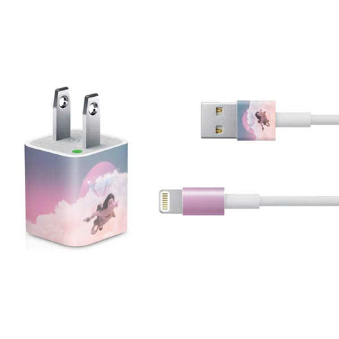 Wonder Woman 1984 (2020) Flying Pose iPhone Charger (5W USB) Skin