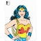 DC Comics Wonder Woman iPad Pro 13in M4 (2024) Skin